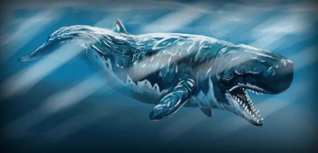 Livyatan melvillei: The Prehistoric Sea Predator That Ruled the Oceans